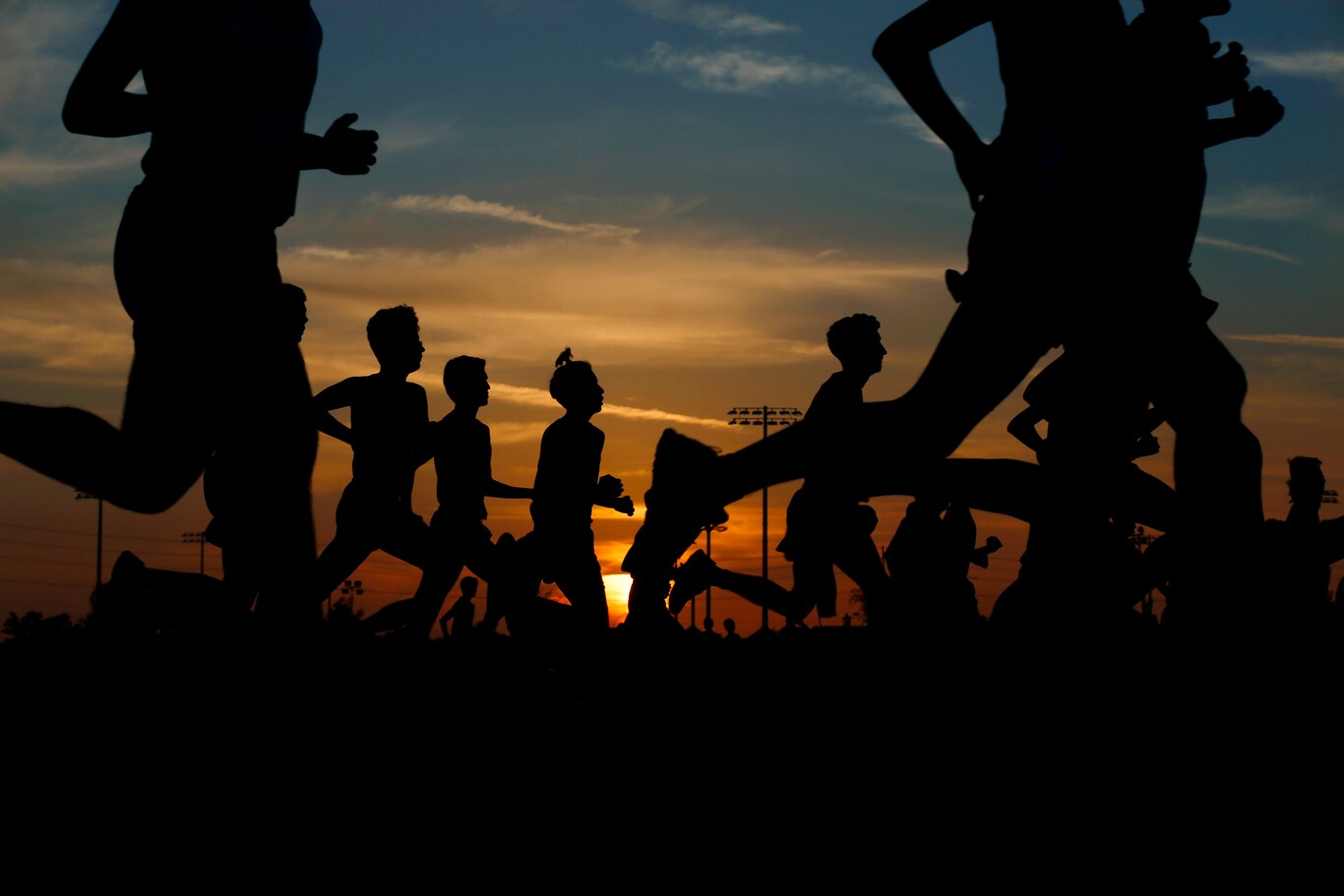 asigurari de sanatate