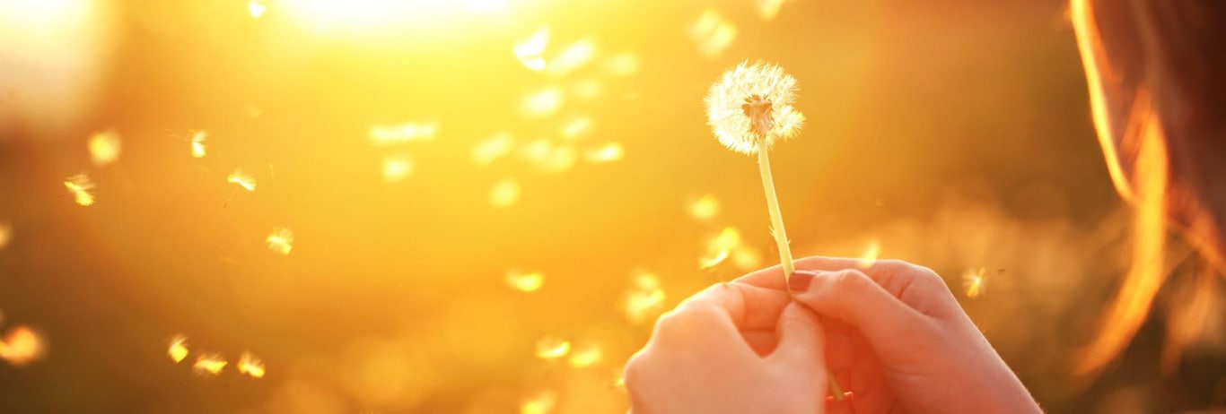 Protectie Financiara