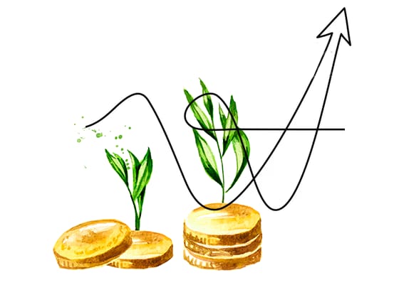 investitii cu NN