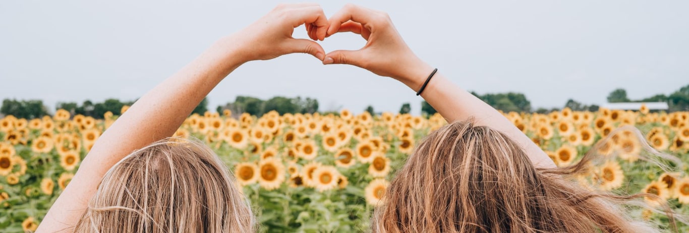 prietene intr-un lan de floarea soarelui