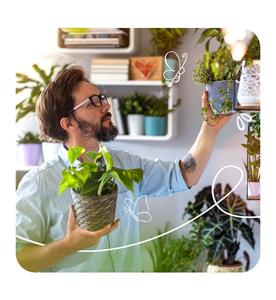 barbat are grija de plante pe balcon
