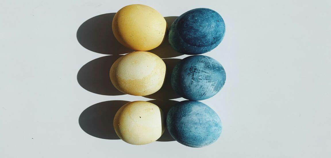 6 oua de paste galbene si bleu