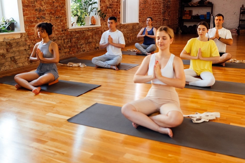 hatha yoga hatha yoga