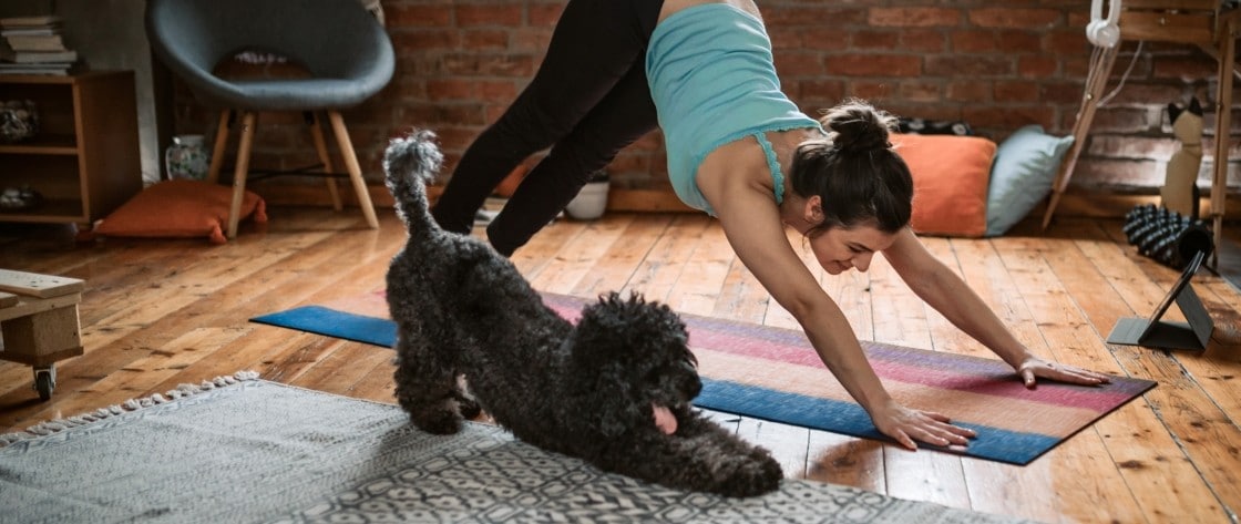 Yoga - beneficii, poziții și exerciții pentru începători