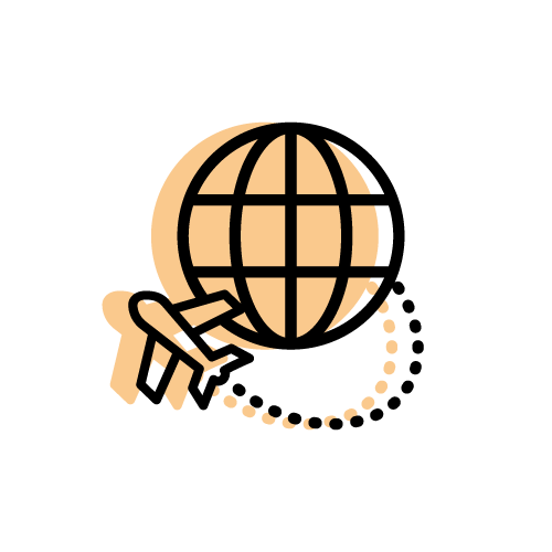 Icon avion si glob pamantesc NN Go