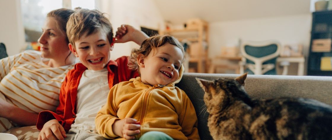 De ce să alegi asigurarea pentru locuință NN 