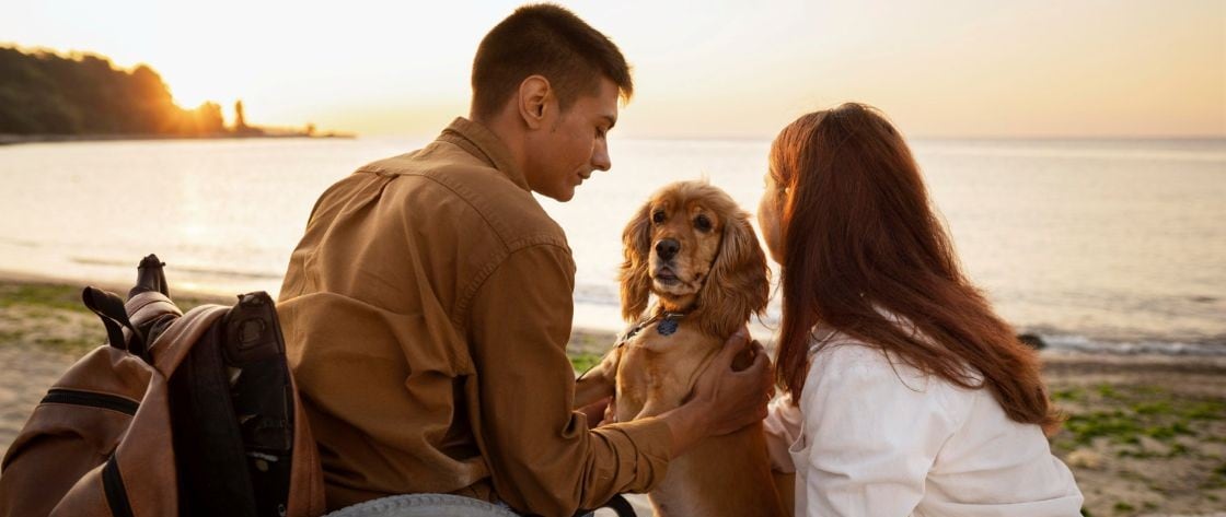 Cât este pensia pe caz de boală: tabel cu boli pentru pensionare pe caz de boală 