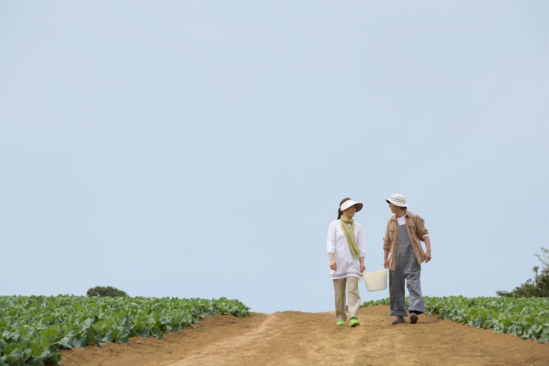 Blue Zone Okinawa Japonia