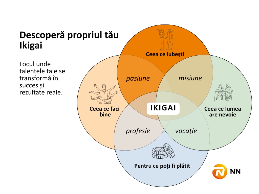 Diagrama Ikigai 4 dimensiuni NN