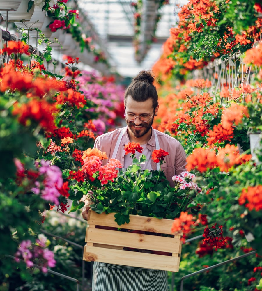 Barbat in sera Asigurarea de Viata de la NN