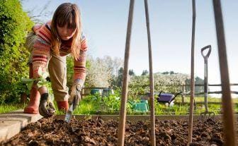 tanara planteaza in gradina