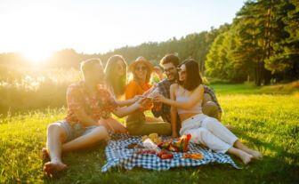 prieteni la picnic