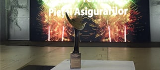 Gala Premiilor Pieței Asigurărilor 2024 NN Premii