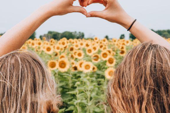prietene intr-un lan de floarea soarelui