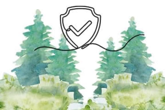 ilustratie grafica scut protectie