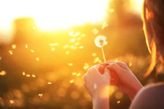 protectie-mobile-dreapta